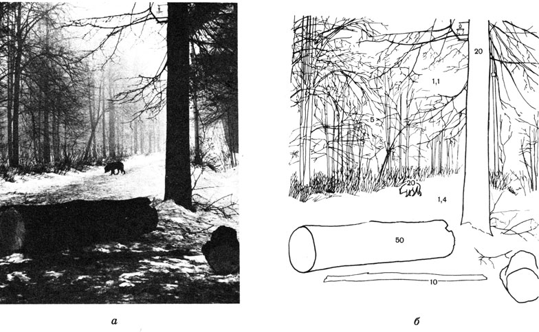 Ил. 4.11. Снимок (а) и его схема (б) с указанием яркостей отдельных участков негативного изображения