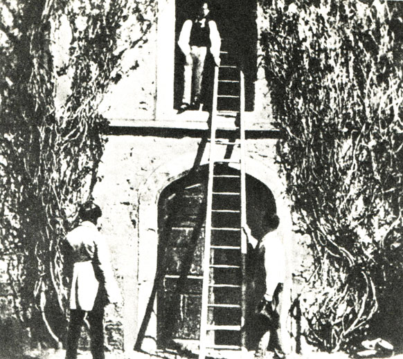 Ил. 3.24. Ф. Тальбот (Англия). Приставная лестница. 1845