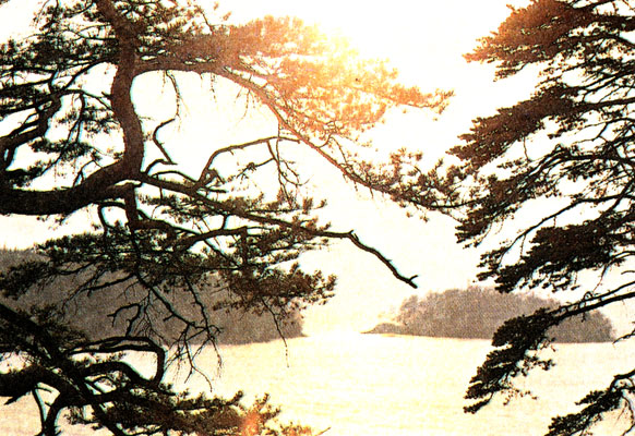 Ил. 36. Пейзаж, снятый на закате солнца (фото Г. Дмитриева)